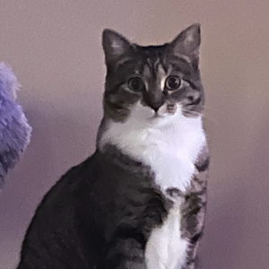 Fundraising Page: Shane Bogner